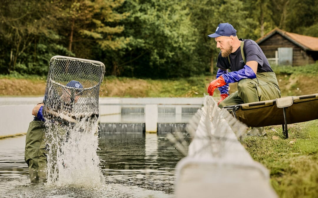 Jak wygląda typowy dzień w&nbsp;hodowli?