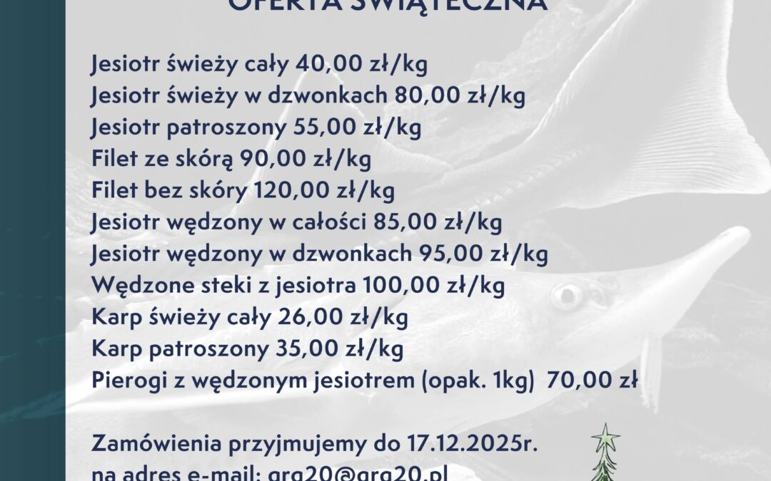 Oferta Świąteczna